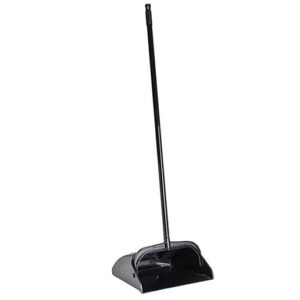 Galaxy Plastic Lobby Dust