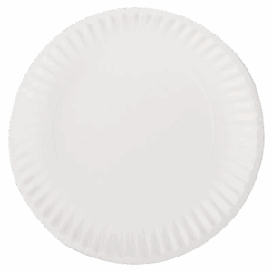 9" Paper Plate 100 Pack (10/cs)