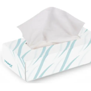 Valay Facial Tissue 100 (30/cs)